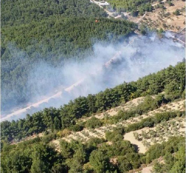 &Ccedil;anakkale de Şehitlikte Orman Yangını (3) 1