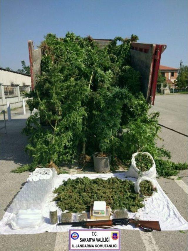 Sakarya&rsquo;da 7 Kilo Esrar Ele Ge&ccedil;irildi 1
