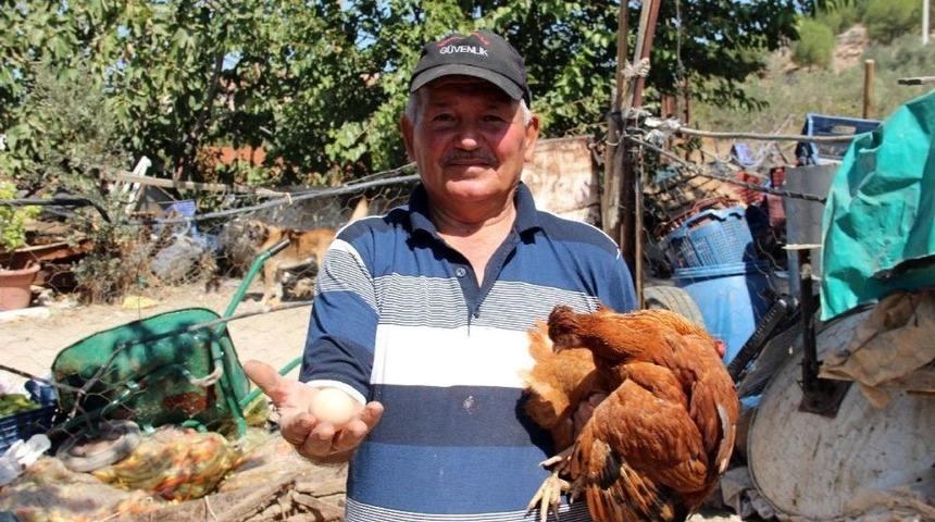 (&ouml;zel Haber) Damgasız 15 Yumurtaya 15 Bin Lira Ceza