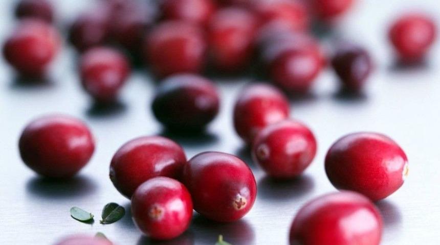 Turna Yemişi, Mide Rahatsızlıklarına Alternatif Tedavi