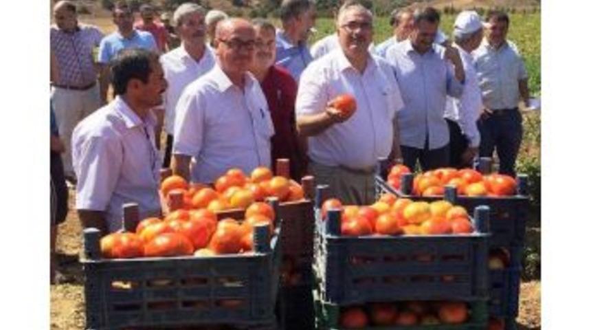 Ak Parti Milletvekili &Ouml;nal: "&ccedil;ift&ccedil;ilerimizin Y&uuml;z&uuml; Desteklemelerle G&uuml;l&uuml;yor"