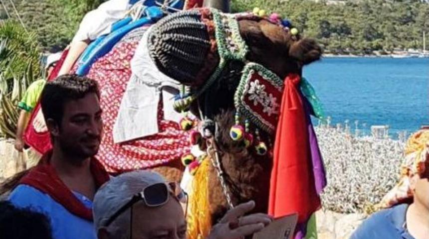 İstanbullu Gelinin Deve Ile Imtihanı