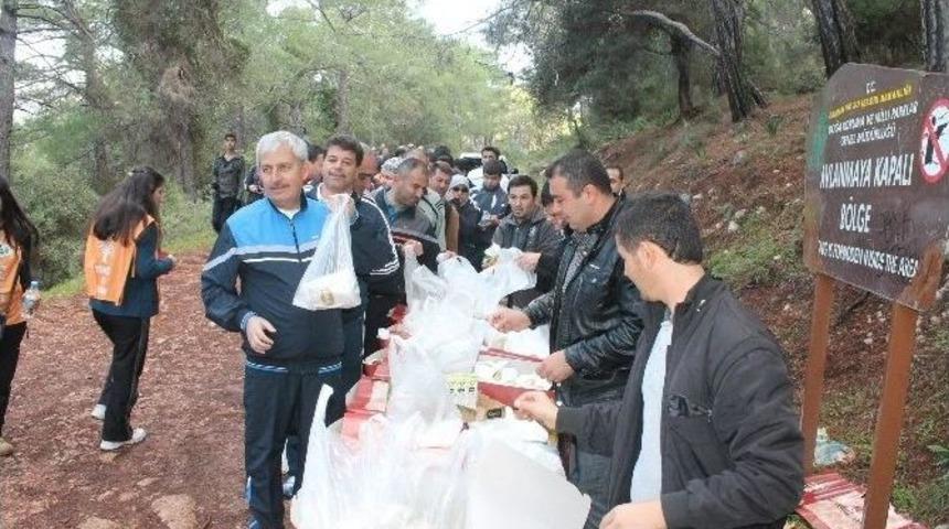 &ldquo;kumluca Gelidonya&rsquo;yı Keşfediyor&rdquo; Doğa Y&uuml;r&uuml;y&uuml;ş&uuml; D&uuml;zenlendi