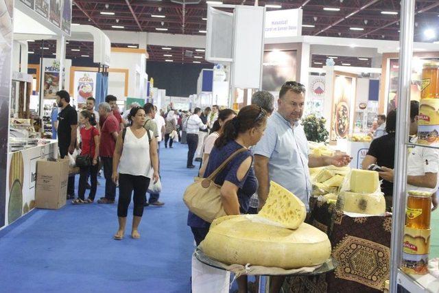 Y&ouml;rex&rsquo;e Yoğun İlgi 2