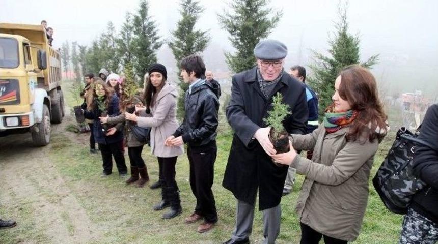 Ali İsmail Korkmaz İ&ccedil;in 6 Bin Fidan Diktiler