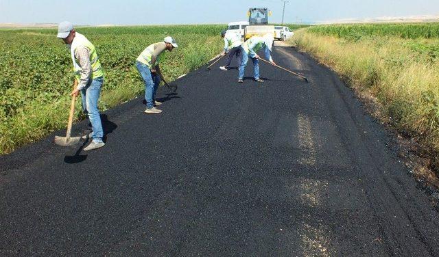 Karak&ouml;pr&uuml; Kırsalında Asfalt &Ccedil;alışmaları S&uuml;r&uuml;yor 1
