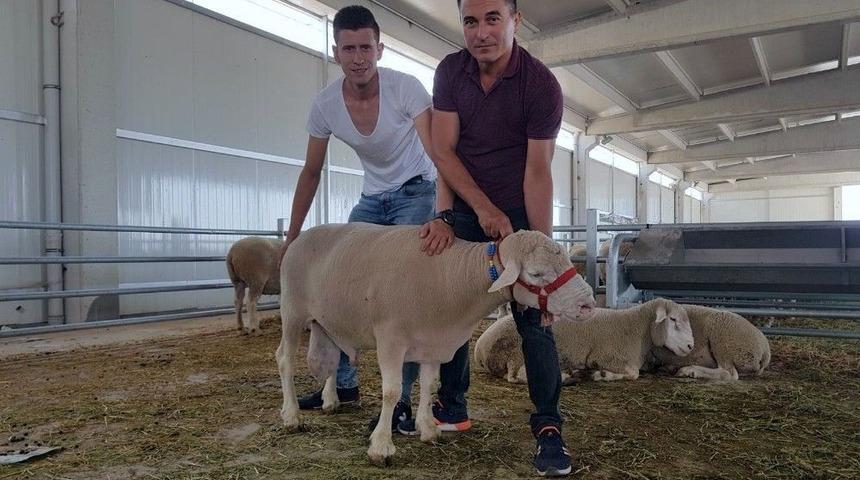 Kocaoğlan&rsquo;a Rekor Fiyat