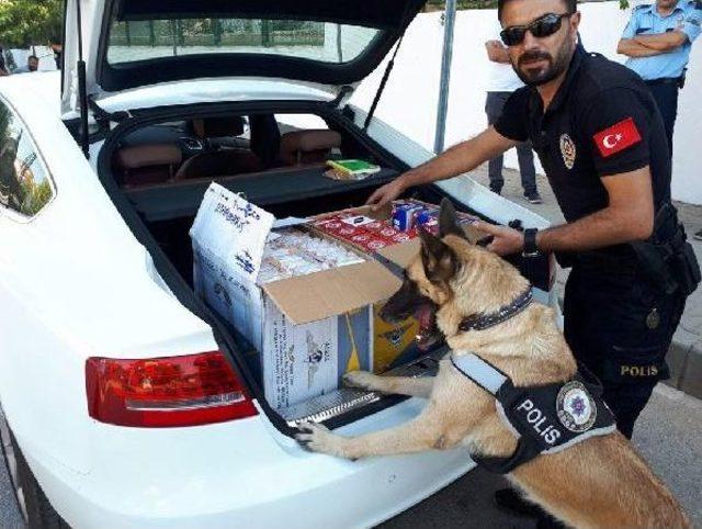 Ülke Genelinde narko-Sokak-3 Uygulaması Gerçekleştirildi 2