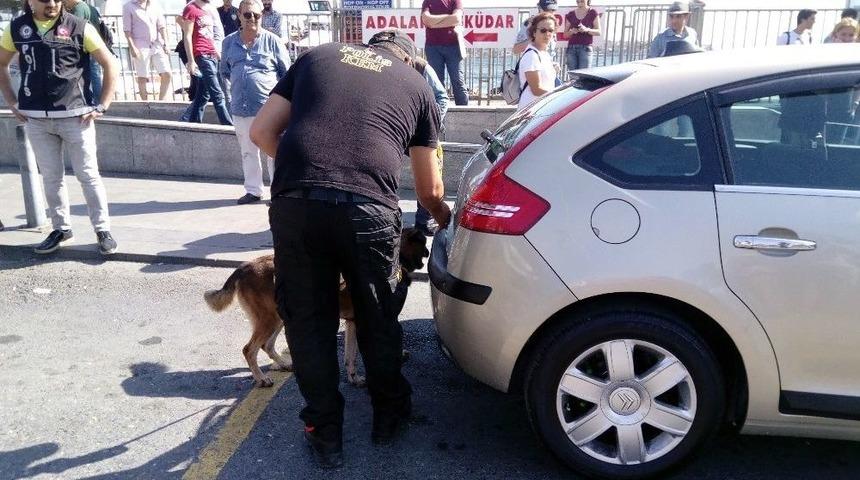 İstanbul&rsquo;da &lsquo;kurt Kapanı 8&rsquo; Operasyonu