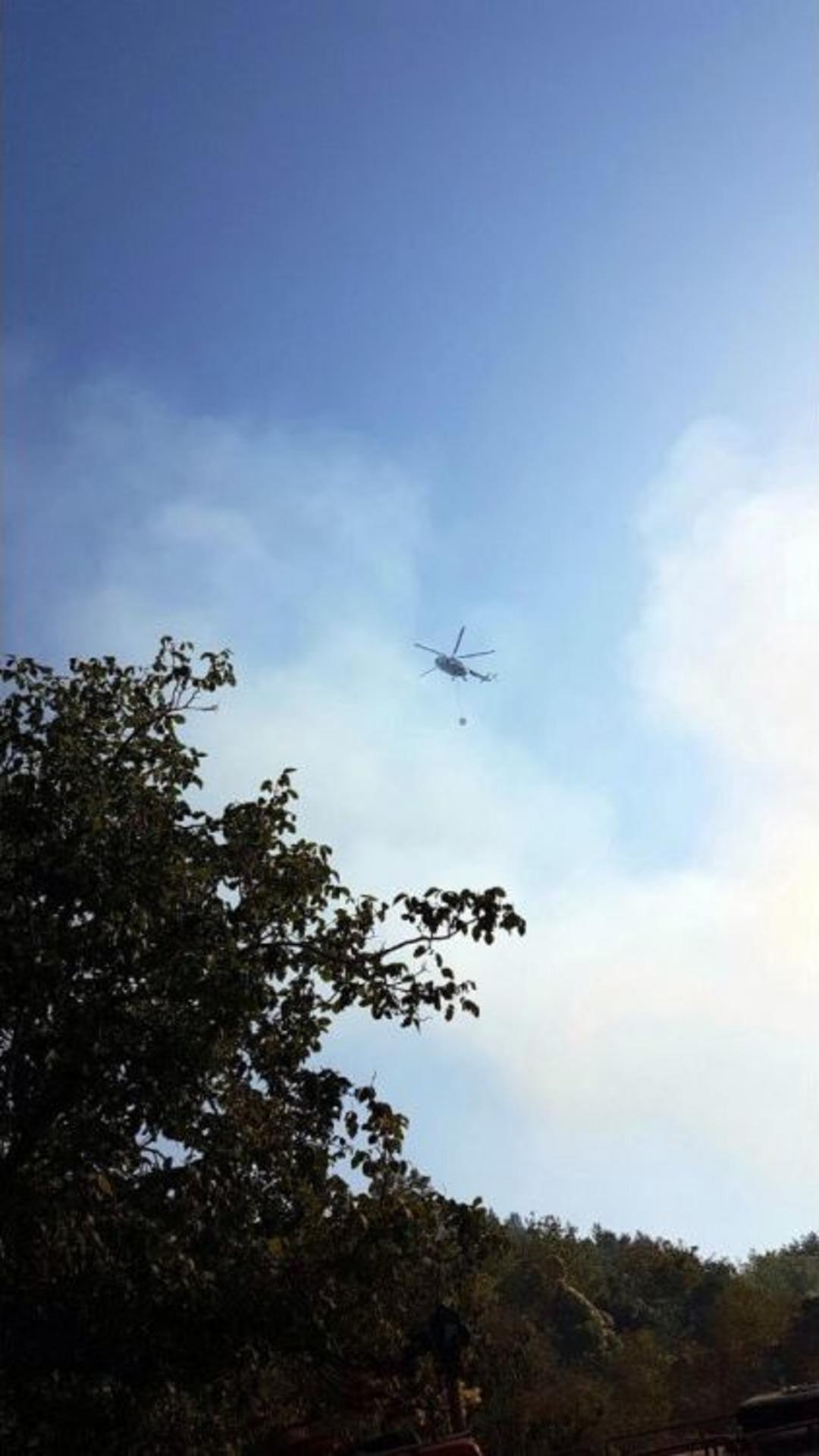 Ağılda &Ccedil;ıkan Yangında 22 Hayvan Telef Oldu