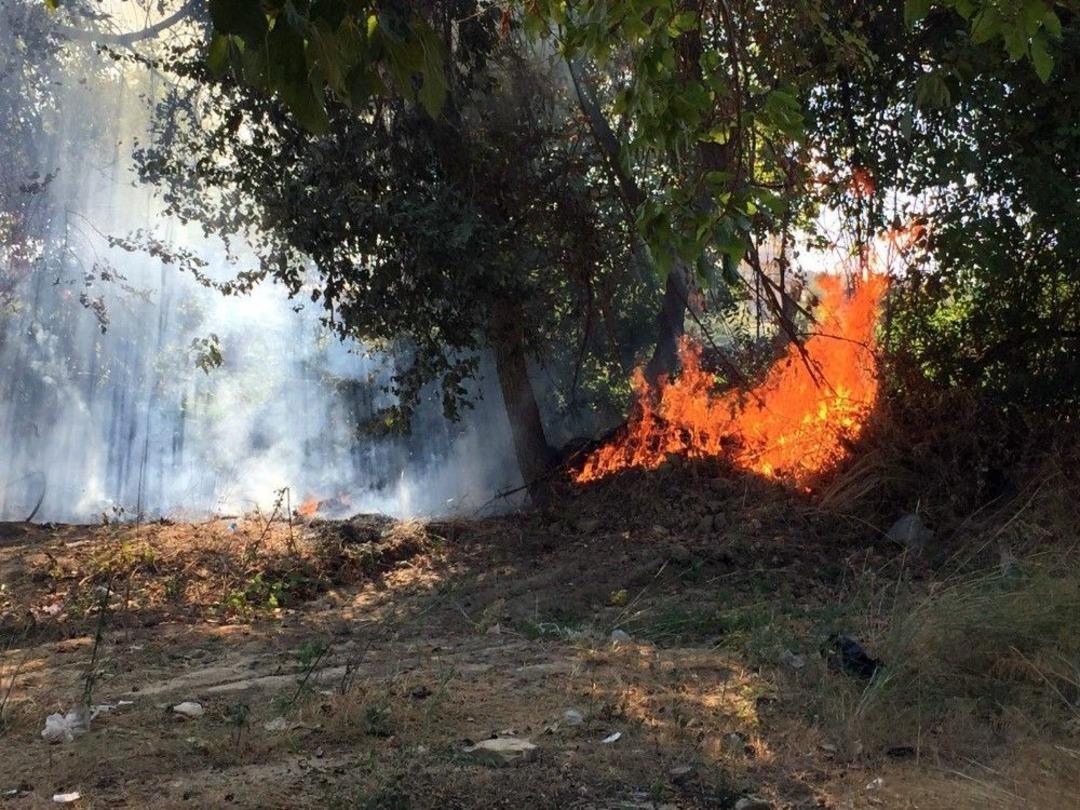 Manavgat Irmağı Kenarında Yangın