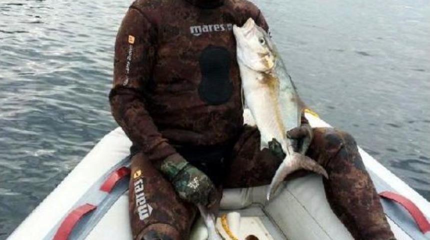 Avukatın Akya Şansı