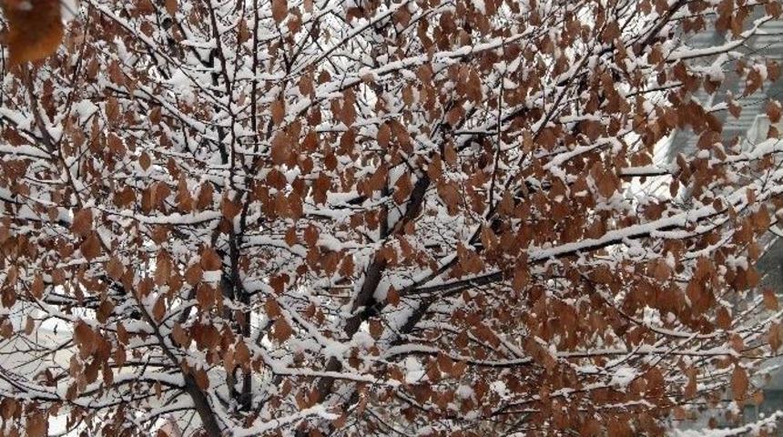 Ardahan&rsquo;da Sibirya Soğukları