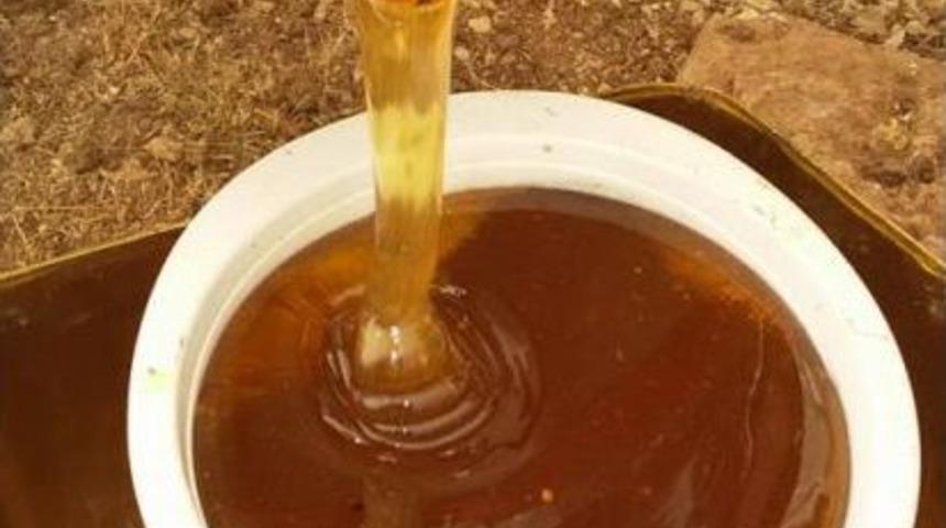 &Ccedil;akmak Balında Hasat Zamanı