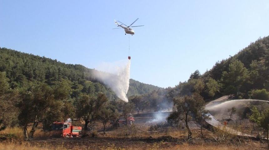 Tarihi Gelibolu Yarımadası&rsquo;ndaki Yangın Kontrol Altında