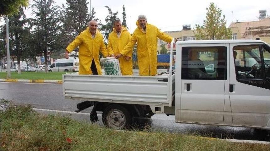 Belediyeden Ağa&ccedil;lara G&uuml;breleme