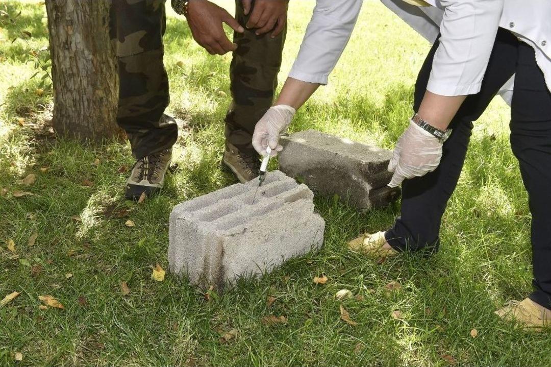 Ankara İtfaiyesi&rsquo;nin Dedekt&ouml;r K&ouml;peği Boomer&rsquo;a &ldquo;ceset Arama K&ouml;peği&rdquo; Unvanı