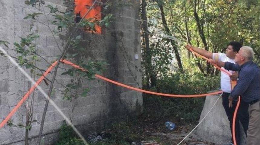 Arıları Uzaklaştırmak İsterken, Depoyu Yaktılar