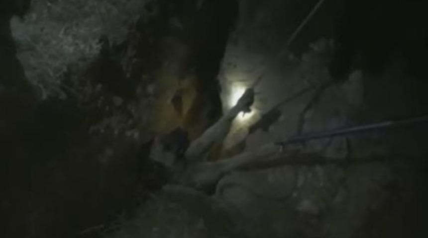 Çukura Düşen Sokak Köpeğini, Itfaiye Kurtardı