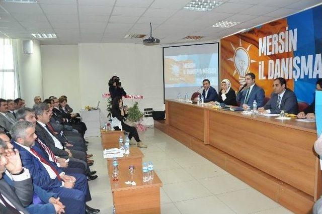 Ak Parti Mersin İl Danışma Meclisi Toplantısı 1