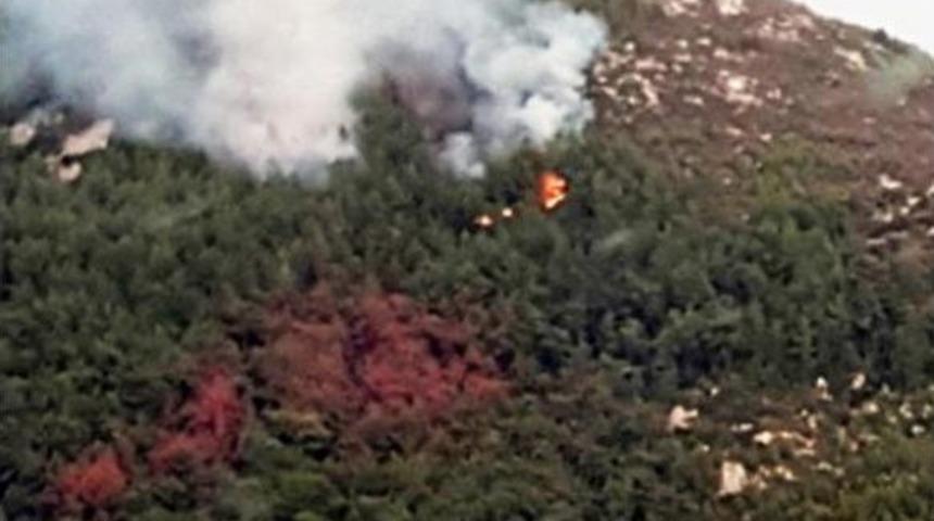 Milas'ta Orman Yangını&nbsp;