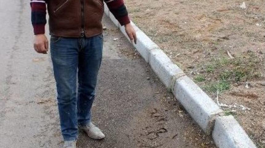 Kazaya Neden Olup Ka&ccedil;an Aracın Plakasını &Ccedil;amura Yazdılar