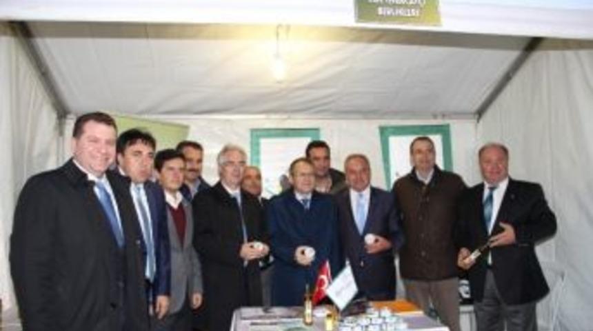 Zeytinciler Ayvalık&rsquo;ta Hedef B&uuml;y&uuml;tt&uuml;