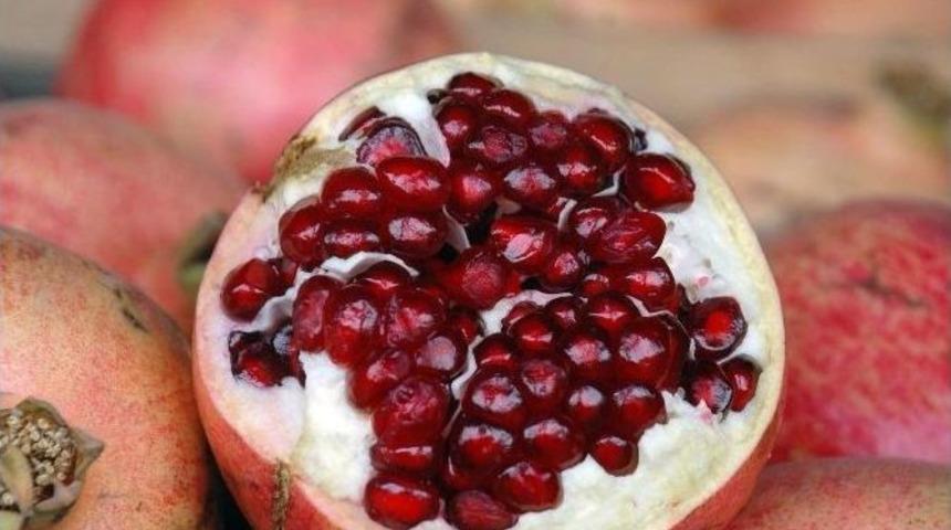 Siirt&rsquo;te Nar Karaborsaya D&uuml;şt&uuml;