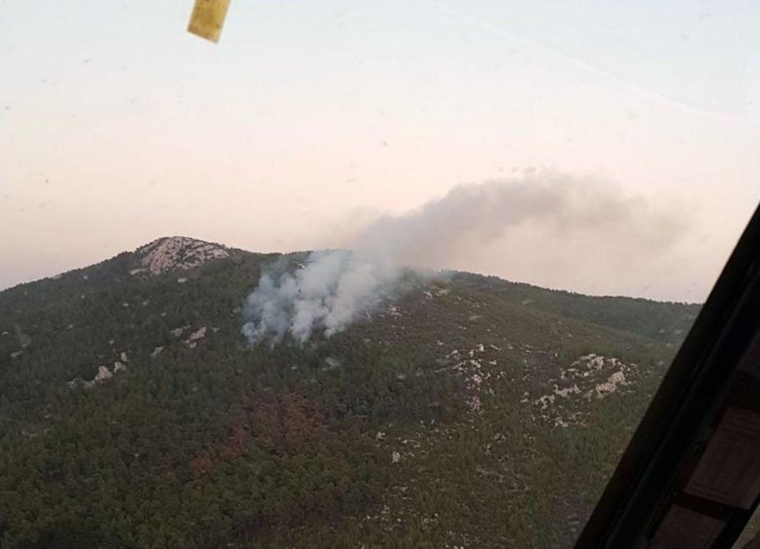 Milas&rsquo;ta &Ccedil;ıkan Orman Yangını Kontrol Altına Alındı