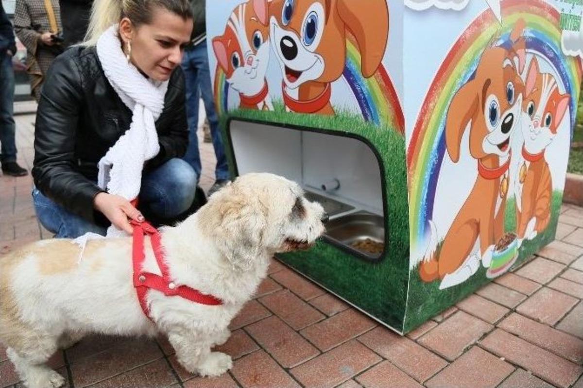 Battalgazi Belediyesinden Pugedon Hizmeti