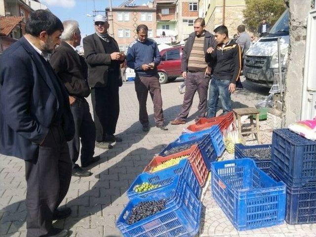 Salamura Zeytin Yapımı Yaygınlaşıyor 1