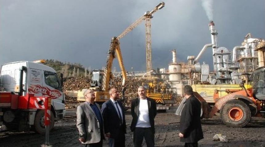 Tahsın Babaş, Sfc Entegre Orman &Uuml;r&uuml;nleri Fabrikasını Ziyaret Etti