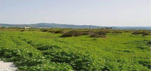 Tobb Meslek Lisesi &Ouml;ğrencileri Sanayiyle Buluşturacak 1