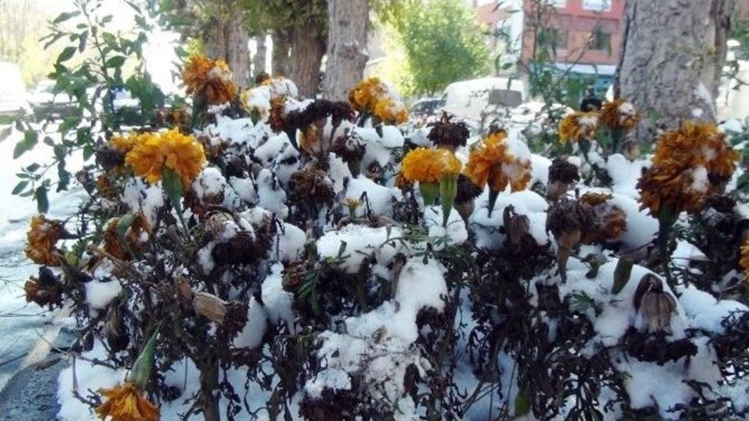 Kar Yağışı Yerini G&uuml;neşe Bıraktı