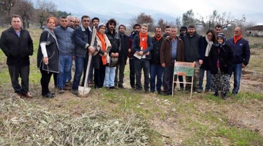 301 Madenci İ&ccedil;in 301 Zeytin Fidanı Dikildi
