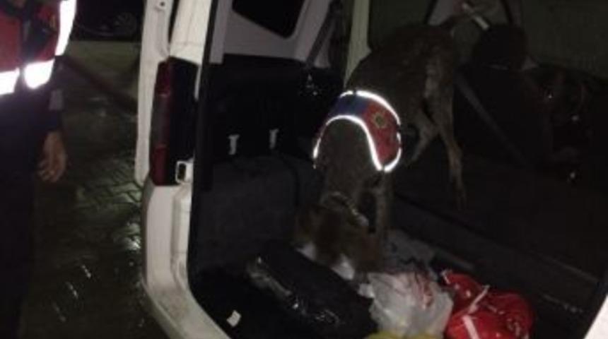 Jandarma Ş&uuml;pheli Ara&ccedil;ta K&ouml;pekle Uyuşturucu Aradı