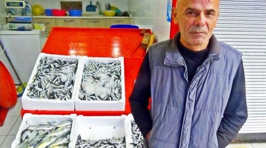 Tekneler Denize A&ccedil;ılamayınca Hamsi Fiyatları Y&uuml;kseldi