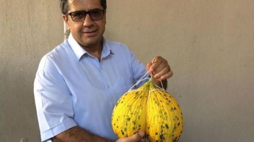 Kırkağa&ccedil; Kavunları Askıda