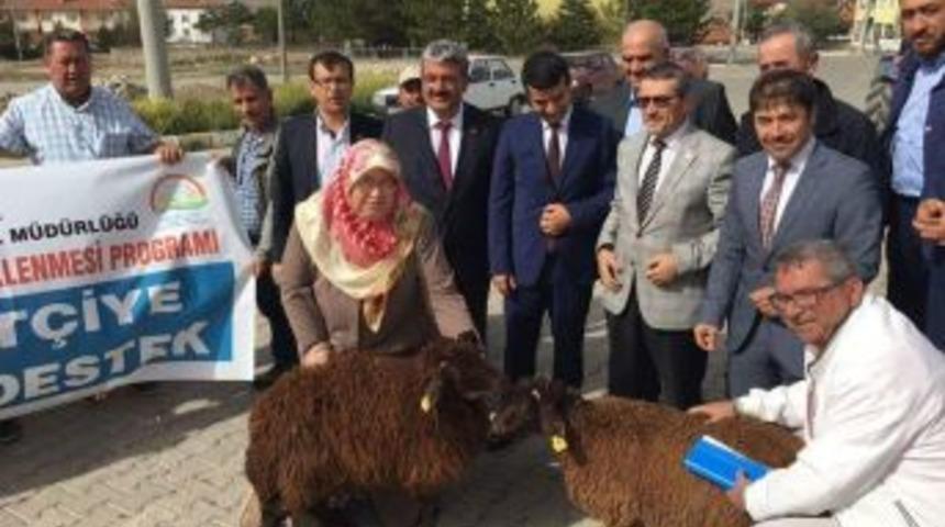 M&uuml;d&uuml;r Fatih Yıldız: Hayvancılık Destekleri Uygulama Esasları Belli Oldu