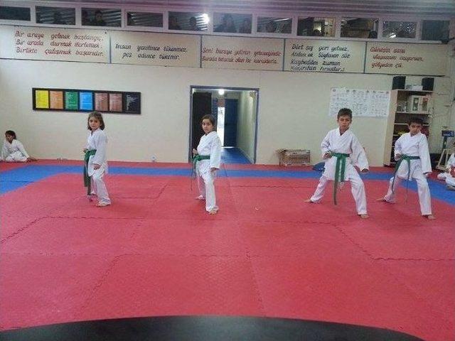 Hendek Belediyesi Karate Takımı Sporcuları Terfi Etti