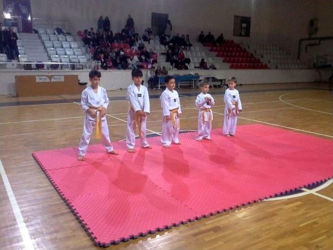 Mudanyalı Minik Tekvandocular Terfi Sınavında Terledi