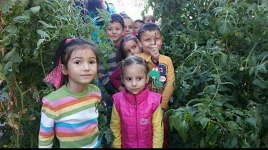 Altıntaş&rsquo;ta &rsquo;sağlıklı Besleniyoruz&rsquo; Projesinin İlk &Uuml;r&uuml;nleri