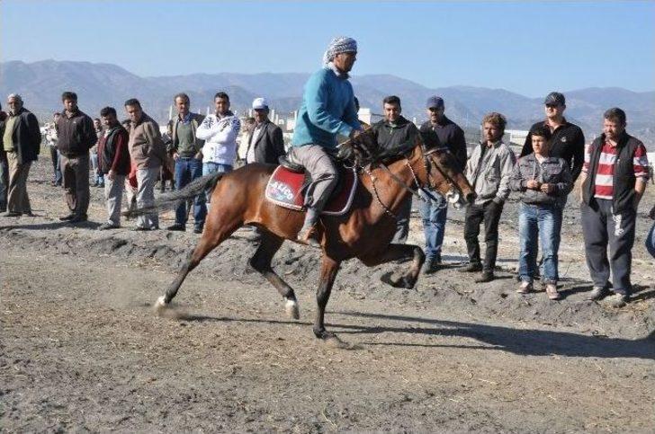 Nazilli’de 3. Rahvan At Yarışları Yapıldı G3