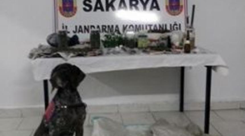 Sakarya&rsquo;da Uyuşturucu Operasyonu