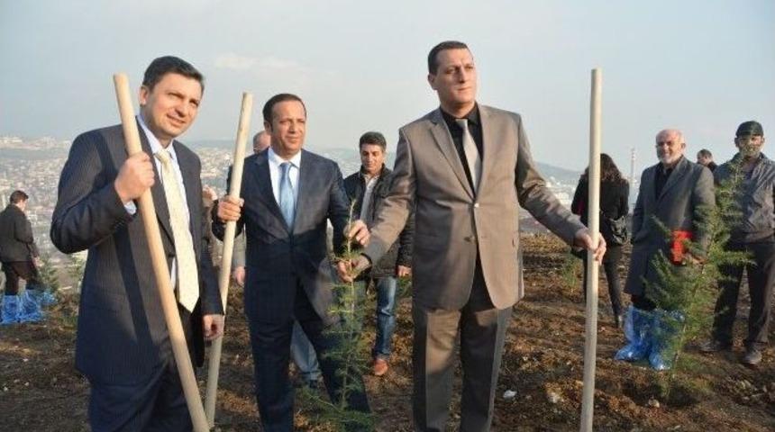 Diliskelesi&rsquo;ne 4 Bin Fidan Dikildi