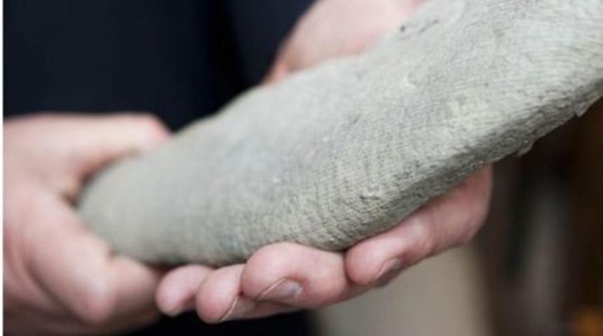 Bilim dünyasını şok eden canlı