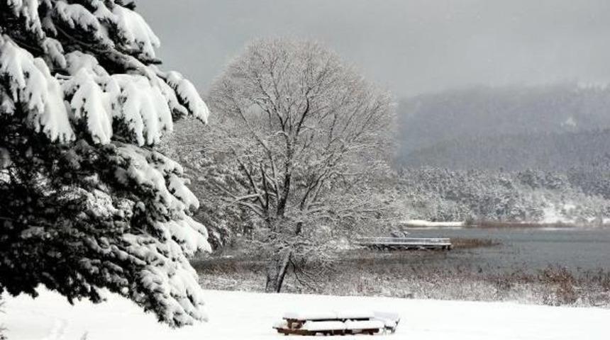 Bolu Beyaza B&uuml;r&uuml;nd&uuml; (2)