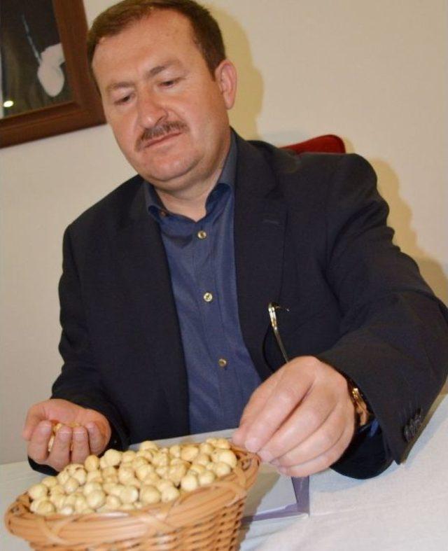 Tmo T&uuml;m Fındığa Talip Oldu 1