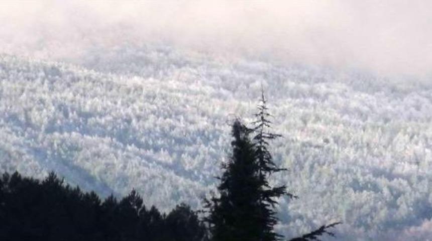 Simav'da Yüksek Kesimlere Kar Yağdı
