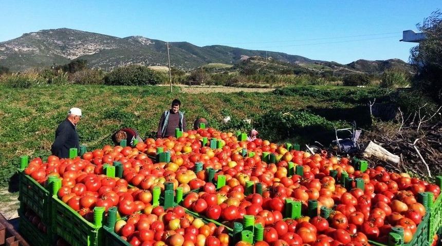 M&uuml;siad Muğla Şube Başkanı Bayhan: